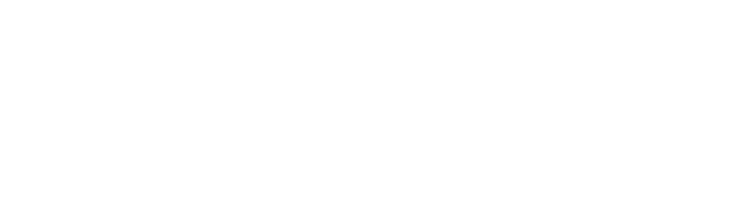 Toronto Party Bus